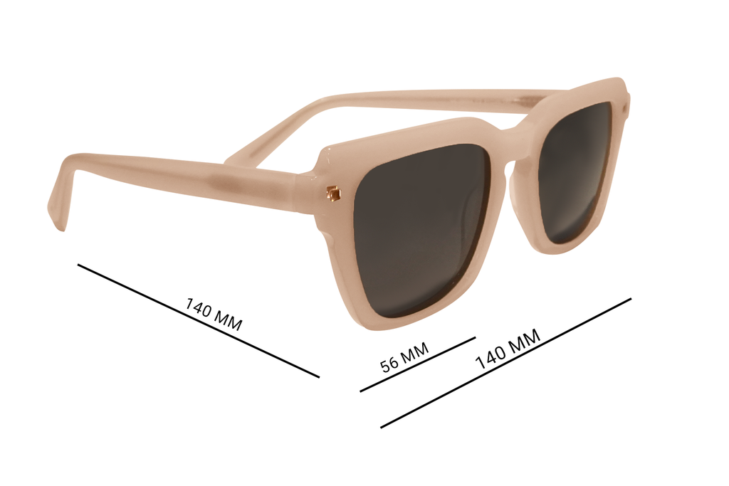 SPECSRAY sunglasses SQUARE  FULL RIM ACETATE